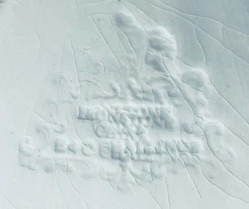 Columbia Shape | E. & C. Challinor | Relish Dish | Mark | 003