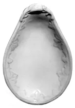 Athens Shape_Unspecified_Relish Dish_Item_001