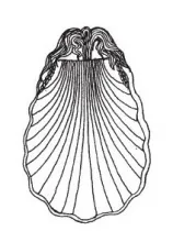 Ceres Shape | Elsmore & Forster | Relish Dish | ItemDrw | 002