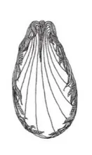 Ceres | Turner, Goddard, & Co. | Relish Dish | ItemDrw | 001