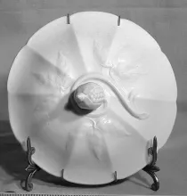 Chinese Shape_T. & R. Boote (& Co.)_Chamber Pot Lid_Item_001