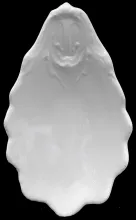 Clarke Shell_Edward Clarke_Relish Dish_Item_001