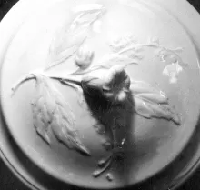 Forget-Me-Not_Unspecified_Chamber Pot Lid_Item_002