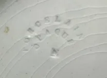 Gothic_Unspecified_Reticulated Basket with Underplate_Mark_004