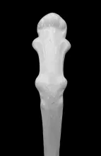 Gothic_Venables, Mann, & Co._Sauce Ladle_Handle_002