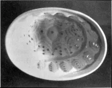 Kitchenware | Unspecified | Food Mold | Item | 003