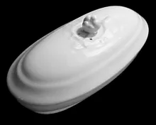 Leaf Fan | Bridgwood & Clarke | Brush Tray Base and Lid | Item | 001