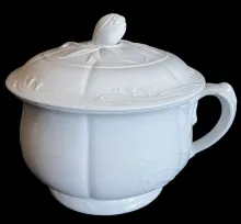 Lily Shape (Bordered Hyacinth)_W. Baker & Co._Chamber Pot Base and Lid_Item_001