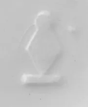 Lily of the Valley | James Edwards & Son | Mug | Mark | 004