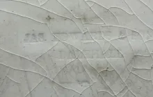 Lily of the Valley_James Edwards & Son_Platter_Mark_003