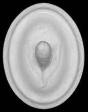 Lily of the Valley_James Edwards & Son_Vegetable Tureen Lid_Item_001