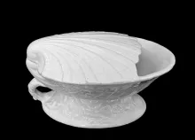 Nautilus | Unspecified | Shell Spoon Warmer | Item | 002