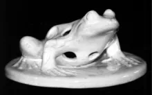 Utilitarian | Unspecified | Flower Frog | Item | 001