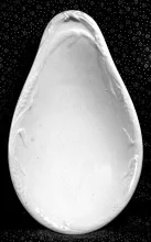 Wheat_Jacob Furnival_Relish Dish_Item_001